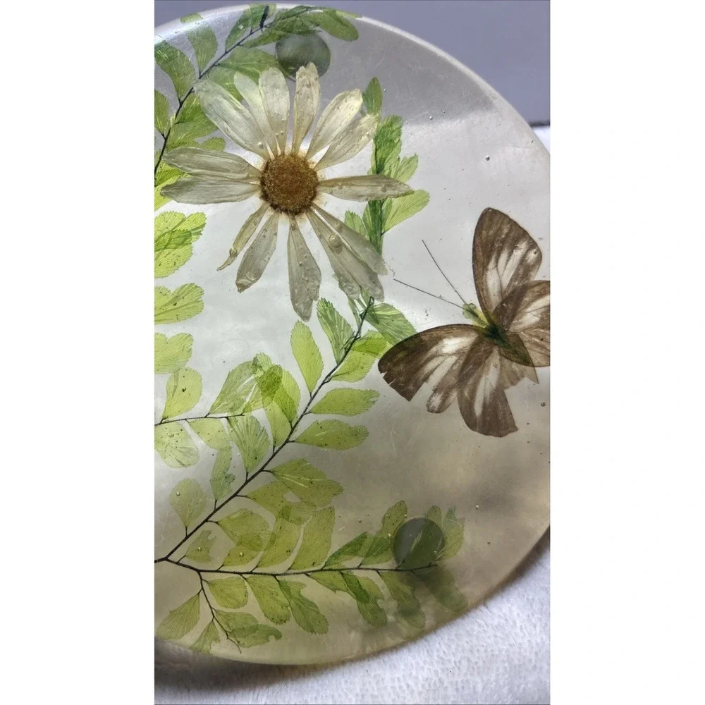 Lucite‎ Dry Daisy Ferns Butterfly Trivet Mid Century 1960s Vintage